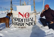 Bonnes nouvelles de Standing Rock !!!