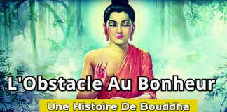 Histoire De Bouddha: Moins C’est Plus Moins