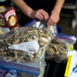 L’Oregon va de l’avant avec un vote public pour légaliser les champignons psilocybine