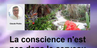 La conscience n’est pas dans le cerveau