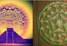Messages du calendrier maya encodés dans le nouveau crop circle