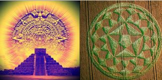 Messages du calendrier maya encodés dans le nouveau crop circle