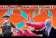 “Ne soyez pas un mouton !” : Le shérif de Washington exhorte les habitants à défier l’ordre des masques