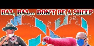 “Ne soyez pas un mouton !” : Le shérif de Washington exhorte les habitants à défier l’ordre des masques