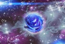 Portail de Lion et prochain groupe de reconnexion