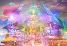 Voici ce qui arrivera si vous choisissez d’aimer une femme éveillée