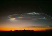 Évoluer ou se Libérer de la Matrice ?