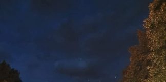 Nous ne sommes pas seuls dans cet effort de libération de l’humanité, tout l’univers nous soutient dans notre libération