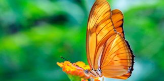 Du 5 au 14 août : Une période favorable à l’inspiration et à l’accès à la vérité !