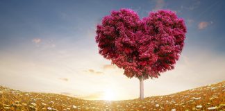 Je sens l’Amour de Dieu en moi maintenant.