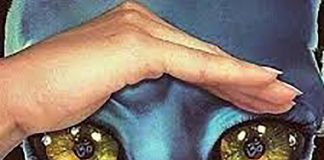 Je pressens un grand éclat de rire ;)