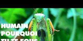 Le message de la nature, Humain, pourquoi tu ne respectes pas ta planète ta maison ?