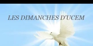 Les Dimanches d’UCEM : Chapitre 2 (3ème partie) sections VI & VII