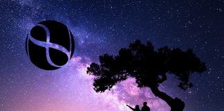 L’énergie des neutrinos est-elle la même chose que l’énergie libre ?