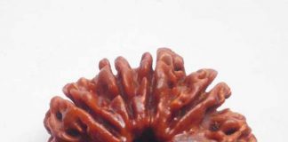 5 bienfaits scientifiques des perles de Rudraksha pour la santé