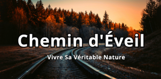Chemin De l’Éveil – Vivre Votre État Naturel En Continu