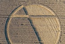 Crop circle du 5 Septembre 2020; Chirton Bottom, Nr Urchfont, Wiltshire, Angleterre