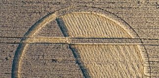 Crop circle du 5 Septembre 2020; Chirton Bottom, Nr Urchfont, Wiltshire, Angleterre