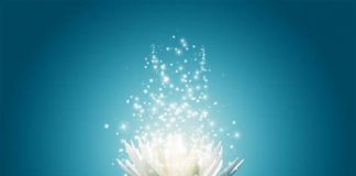 Qu’est-ce que l’Éveil ? Qui sommes-nous vraiment ?