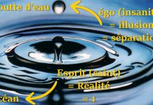 Tu es l’Océan, se rêvant d’être pour une goutte d’eau, laquelle illusion voudrait devenir une flaque d’eau
