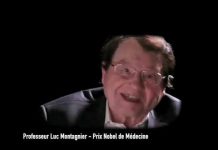 Les Tontons flingueurs du Covid-19