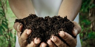 Je suis – par Coco tache