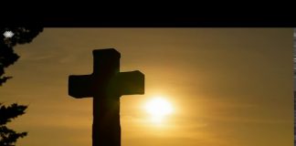 La souffrance et sa disparition (L’Art du calme intérieur” d’Eckhart TOLLE)