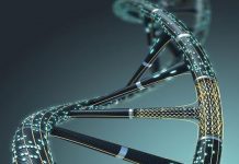 La guerre contre l’ADN humain