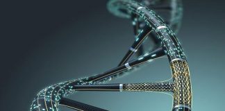 La guerre contre l’ADN humain