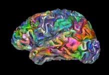 Le mental n’est pas dans le corps – Les implications de ce fait…