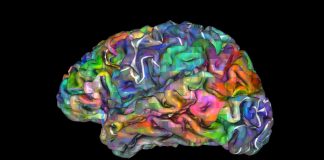 Le mental n’est pas dans le corps – Les implications de ce fait…