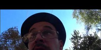 Cailles jour 3 attaque jour 2