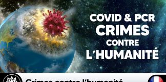 Covid 19 & tests PCR : Crimes contre l’humanité 🌍 Reiner Fuellmich