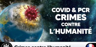 Covid 19 & tests PCR : Crimes contre l’humanité 🌍 Reiner Fuellmich