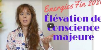 Le point sur l’énergie pour la fin 2020 : Portail du 21 décembre, L’événement + message important