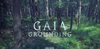 Voyage au tambour chamanique, Gong et musique de méditation du chakra racine