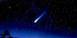 Entrée au coeur du défi de l’automne 2020 !