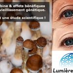 L’hypothèse du télomère de la psilocybine : Une prédiction empiriquement falsifiable concernant les effets neuropsychopharmacologiques bénéfiques de la psilocybine sur le vieillissement génétique