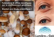 L’hypothèse du télomère de la psilocybine : Une prédiction empiriquement falsifiable concernant les effets neuropsychopharmacologiques bénéfiques de la psilocybine sur le vieillissement génétique