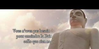 Invitation à l’éveil