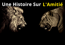 Une Histoire Sur l’Amitié: Un Lion Et Un Tigre // Une Histoire Bouddhiste