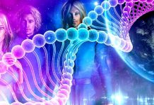 La grande mutation en Décembre