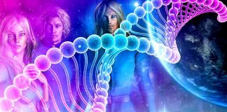 La grande mutation en Décembre