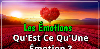 Qu’Est-Ce Qu’Une Émotion ?