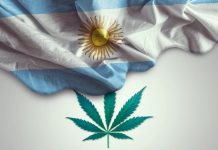 L’Argentine légalise la culture du cannabis à usage médical pour les particuliers