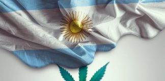 L’Argentine légalise la culture du cannabis à usage médical pour les particuliers