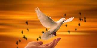 Renoncement intérieur et liberté: pouvons-nous pratiquer l’Être ?