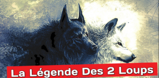 Légende Amérindienne – l’Histoire Des Deux Loups