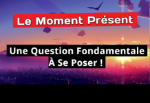 Une Question Fondamentale à Se Poser