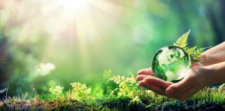 Le Manifest de la Nouvelle Terre